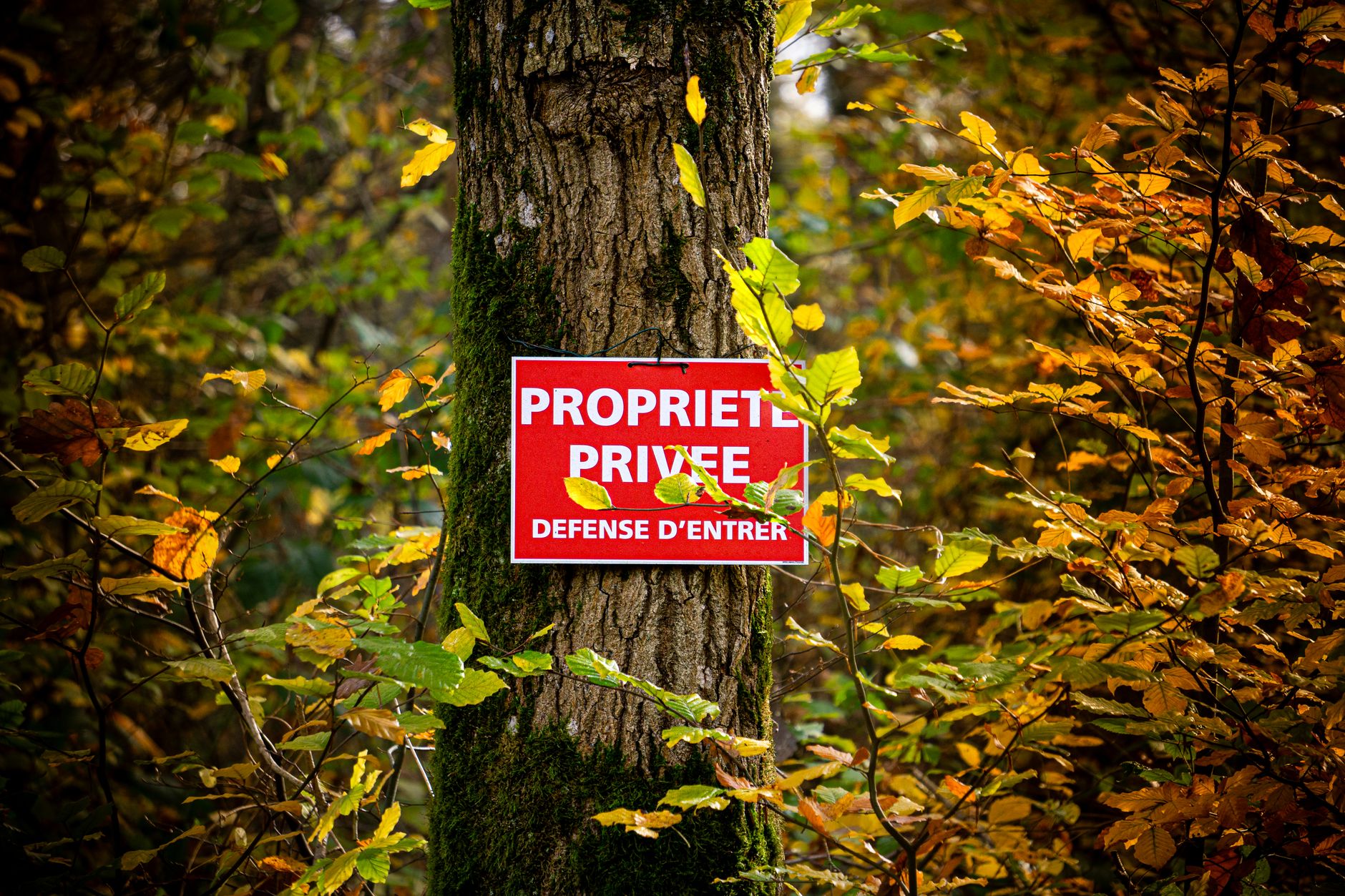 Détective privé à Amiens